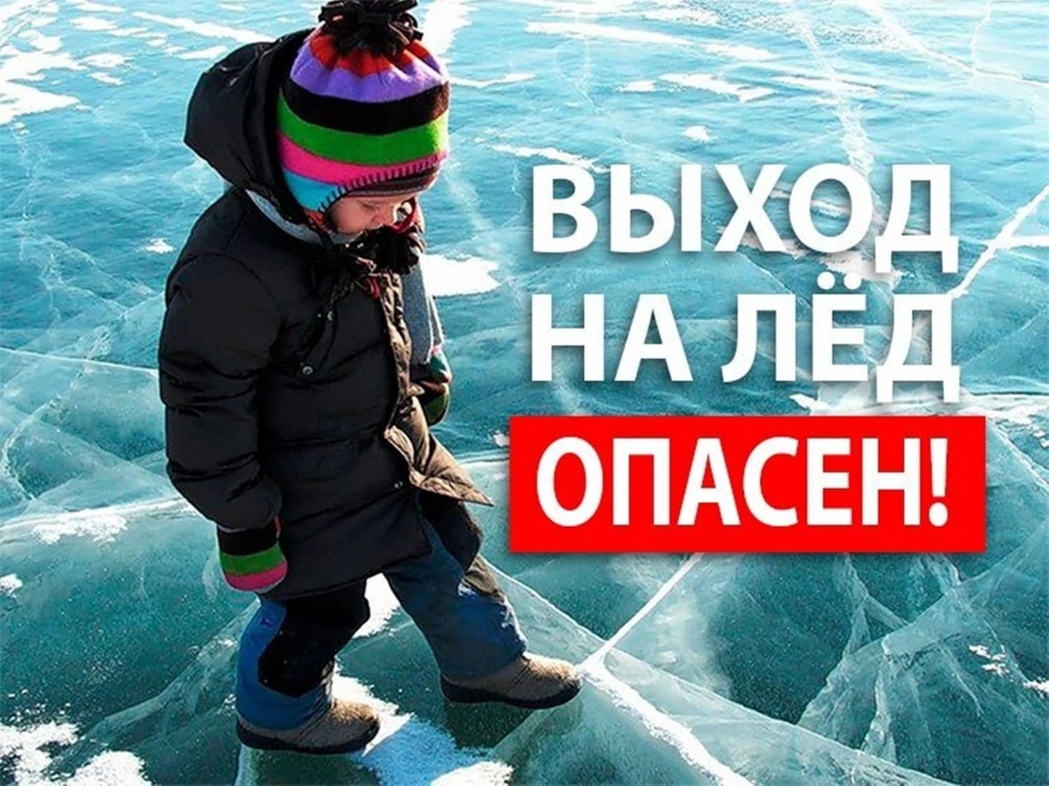 IMG 20231127 WA0013